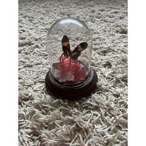 Vintage Gerhard & Co Butterfly Flowers Dome Cloche  Glass Real Taxidermy 1970’s